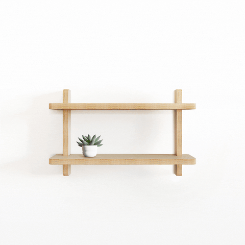 Unfinished wooden wall shelves with a small potted plant, ideal for DIY home decor.