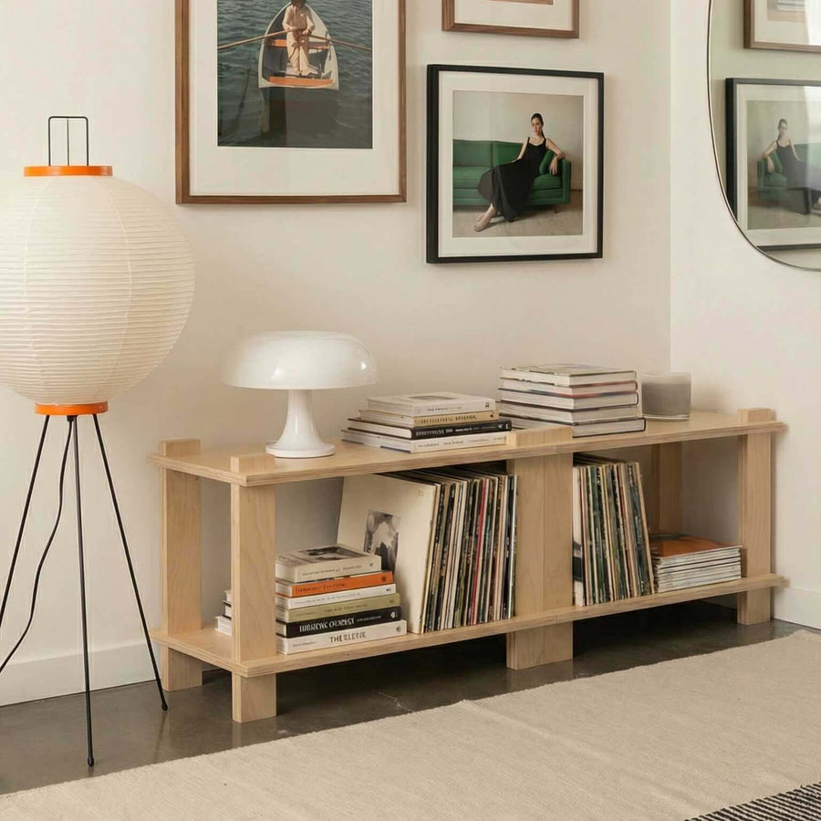 A stylish Modular Shelf displaying books and decor, perfect for any home or office space.