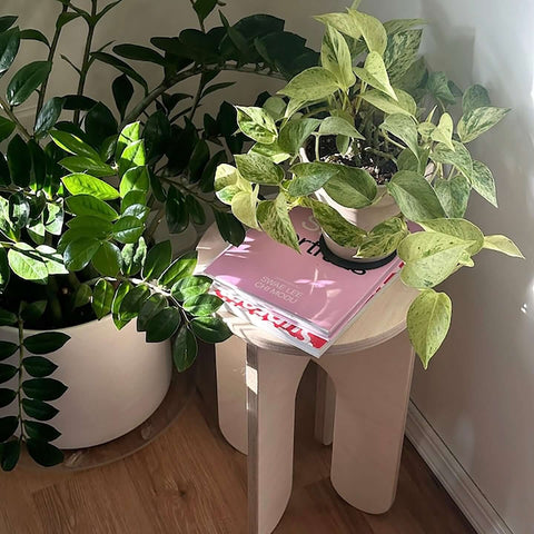 Indoor Plant Stand